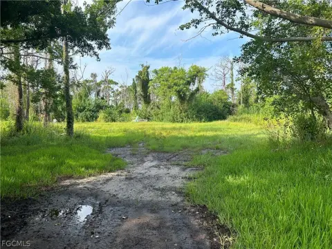Partially Cleared Land For Sale