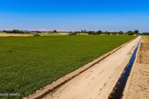 Irrigated Farmland with Mint Crop