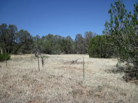 Ranch Land with Power to Lots