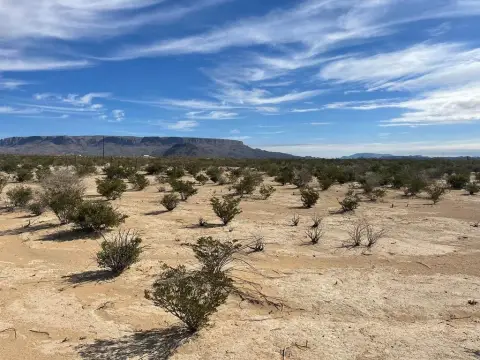 Terlingua Ranch Land Available