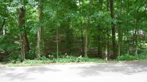 Wooded Lot in Foxcliff Estates