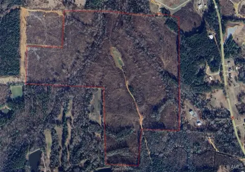 100 Acres in Berry, AL