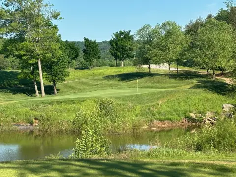 Branson Commercial Land Opportunity