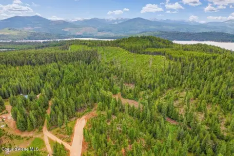 Flat Timberland Home Lot