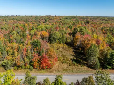 22 Acre Wooded Maine Parcel