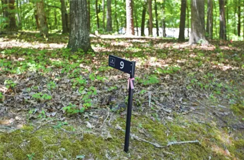 Level Corner Lot in Keowee