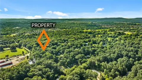 Buildable Residential Lot