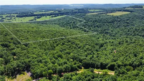 Wooded Hunting and Recreation Land