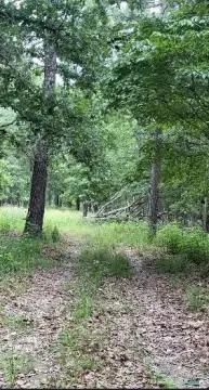 Wooded Lake-Access Land Parcel