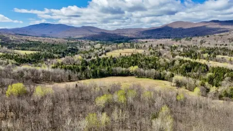 Montgomery Land with River Frontage