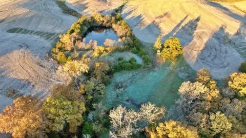 Mercer County Land with Income Potential