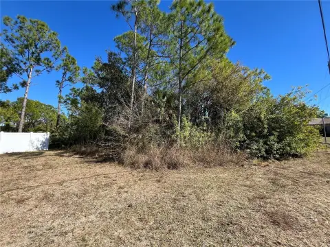 Oversized Residential Homesite Opportunity