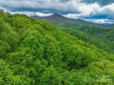 Pisgah Highlands Land Opportunity