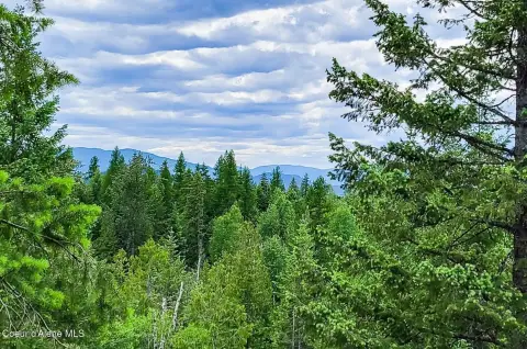 Forested Mountain Retreat Land