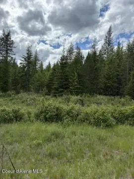 Wooded Residential Acreage with Power