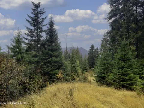Recreational Land Parcel