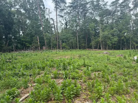 Zoned Commercial Land Opportunity