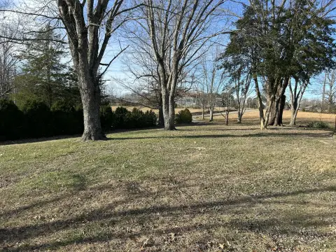 Farmland with Road Frontage