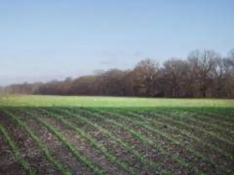 122 Acres Farmland in Norris City