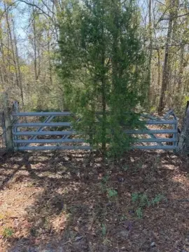 Wooded Hunting Land