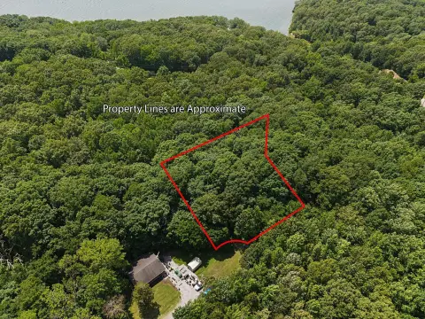 Wooded Lake-Area Land Lot