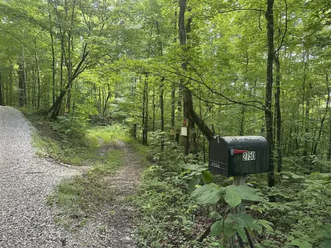 Wooded Private Acreage with Driveway