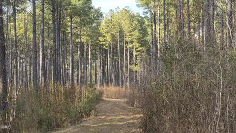 Wooded Agricultural Land Tracts