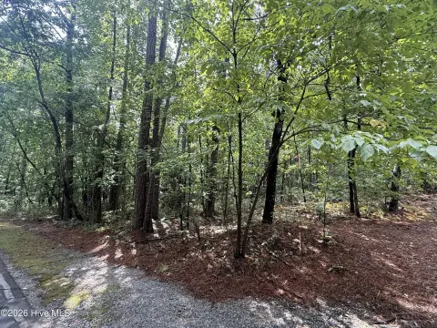 Non-Buildable Community Membership Lot