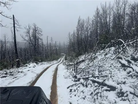 Berry Creek Land for Sale