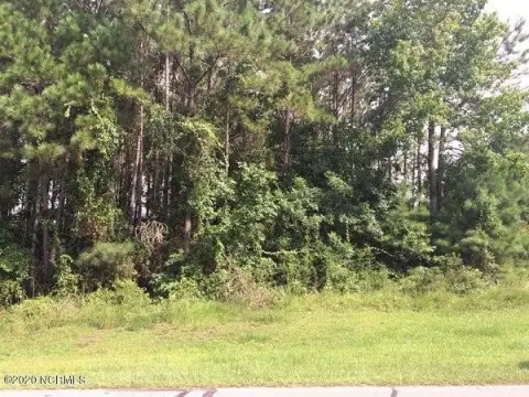 Wooded Homesite in Marsh Oaks