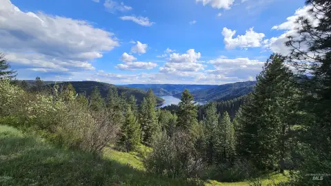 Lenore, ID Timbered Land