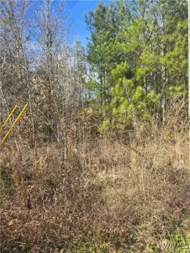 Land For Sale, Fosters, AL