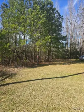 Residential Land in Foster, AL