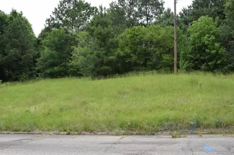 Land Near Webster Parish Courthouse