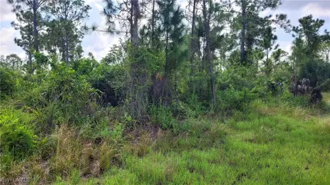Lehigh Acres Land Parcel