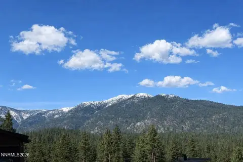 Carson City Land Near Forest
