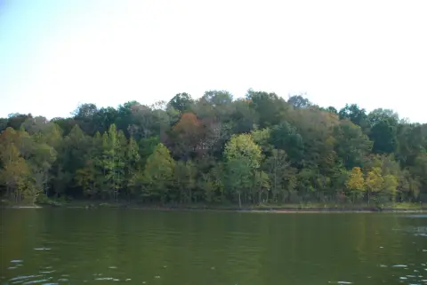 Lakefront Wooded Recreation Land