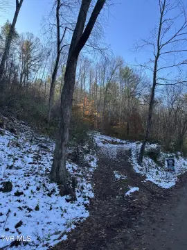 Erwin, TN Hunting Land