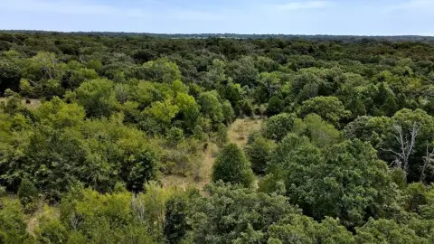 49+ Acres in Athens, TX