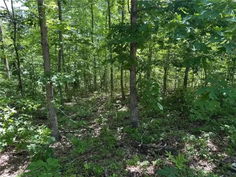Residential Building Lot in Subdivision
