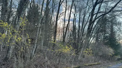 Residential Lot in Woodridge, NY