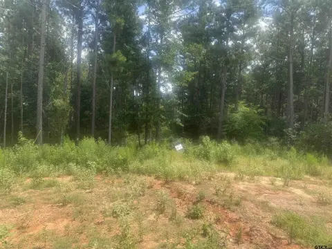 Hawkins, TX Acreage with Trees