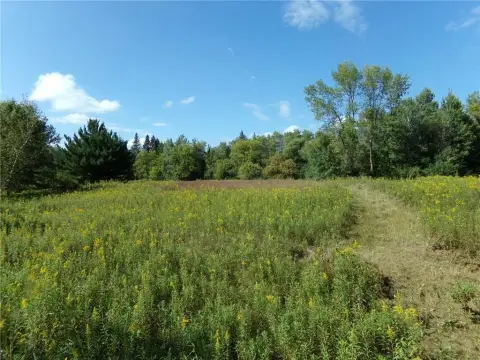 Rare 5-Acre Building Site