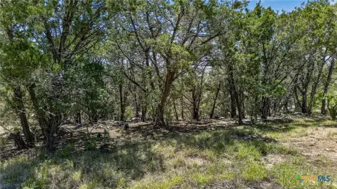 Canyon Lake Acreage Ready to Build