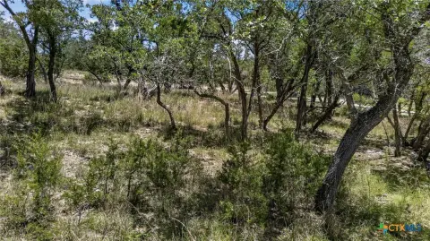 Canyon Lake Land For Sale