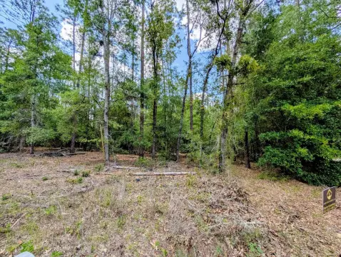 Dunnellon Vacant Land Opportunity