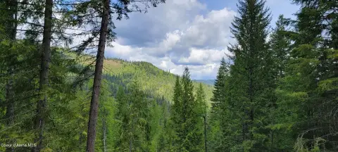 Recreational Hunting Land Retreat