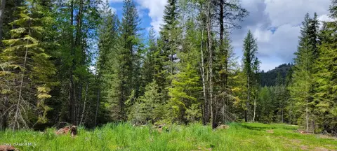 Timberland and Meadow Parcel