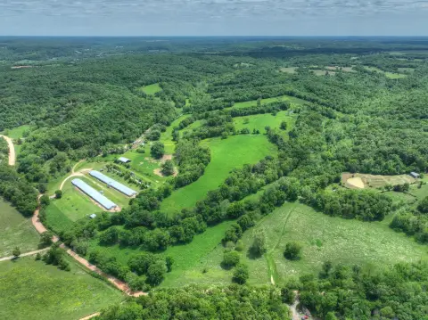 Layer Hen Farm with Poultry Houses
