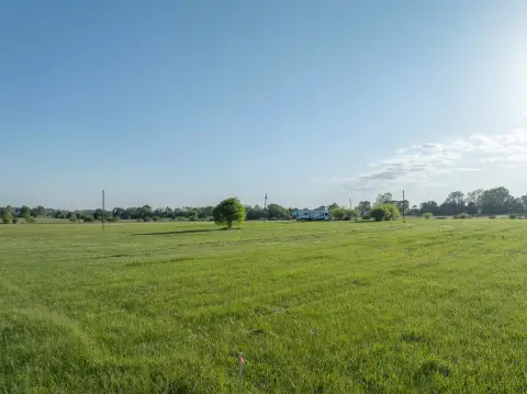 Rogersville Land: Private, Peaceful Setting